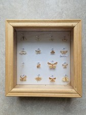 Coffret vitrine avec 11
