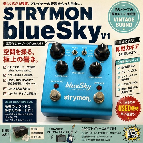 Strymon bluesky reverb - strymon, v1