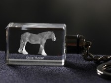 Shire, Cheval Cristal