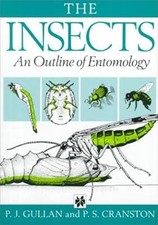 Insects : An Outline of