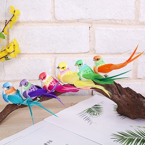 Simulation oiseaux simulation