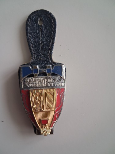 Insigne sapeurs pompiers dijon - insigne,