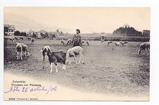 SUISSE SWITZERLAND Canton