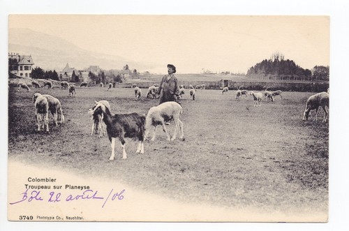 Suisse switzerland canton - suisse,