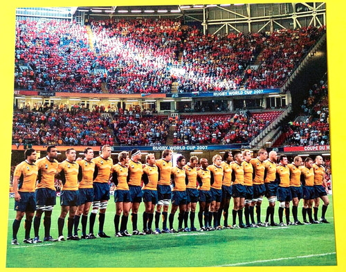 Wallabies wales cardiff - wallabies,