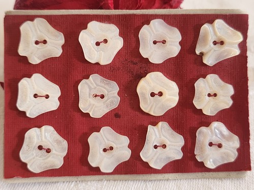 Rare petite plaque boutons