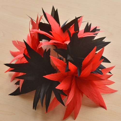 Plumes fleurs - plumes,