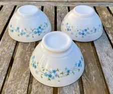 Bols Arcopal Veronica Myosotis