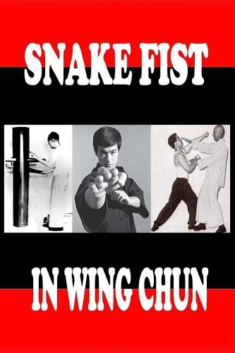 Semyon neskorodev snake fist - semyon,