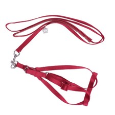 Oiseau Harnais Perruche Harnais Pour Perroquet Perroquet Pied Harnais