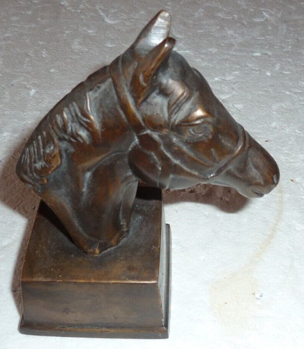 Superbe tête cheval - tête, de