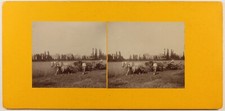 Faucheuse Travaux agricole Photo Stereo Amateur Vintage c1910