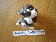 ** CHIEN SAINT BERNARD NOIR