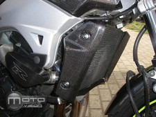 Paire d'ecopes radiateur