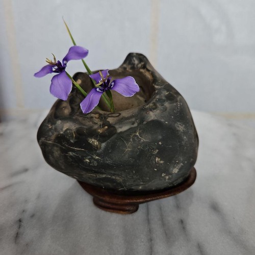 Bonsaï suiseki bonseki - bonseki, pierre