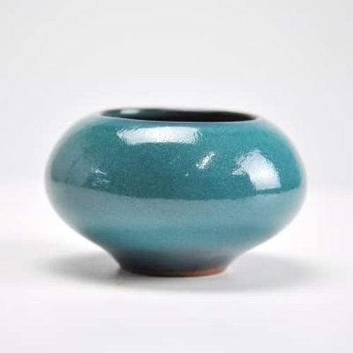 Pot bonsai wonder turc bleu - pot,