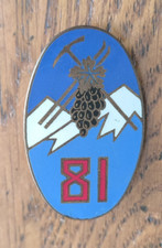 Insigne 81° RIA Régiment