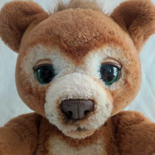 Peluche interactive cubby - peluche,