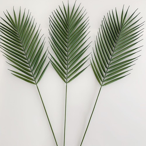 Feuille simulation areca - de,