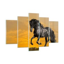 Impression sur Verre 150x100cm Tableaux Animaux cheval course à pied prairie