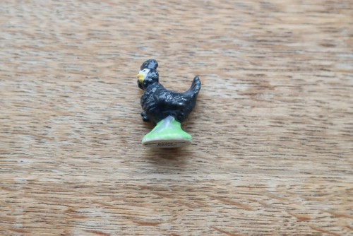 Fève coquy poule - coquy,