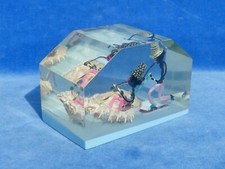 MIGNON Cute RARE ! INCLUSION