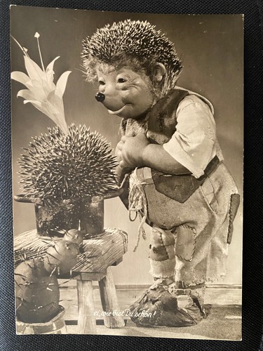 Carte postale hérisson mecki - hérisson,
