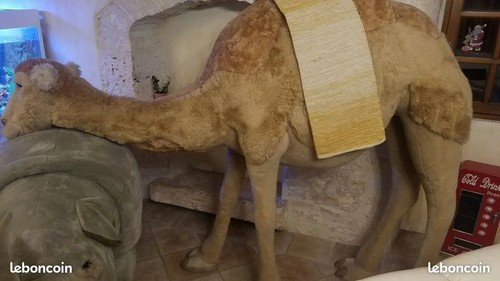 Peluche dromadaire taille