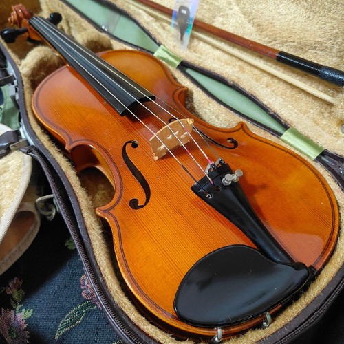 Karl hofner master violin 53cm - karl,