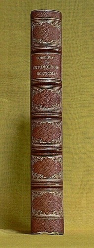 Boisduval essai sur - -,