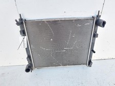 NISSAN JUKE I (F15) RADIATEUR