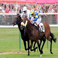 METHODE de TURF : LE PARI