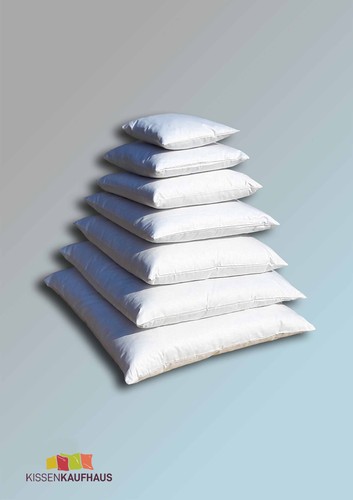 Coussin plumes oie et - plumes,