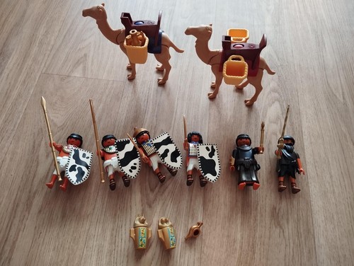 Lot egyptiens playmobil - lot,