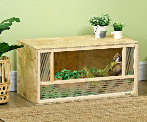 Terrarium serpents reptiles - terrarium,
