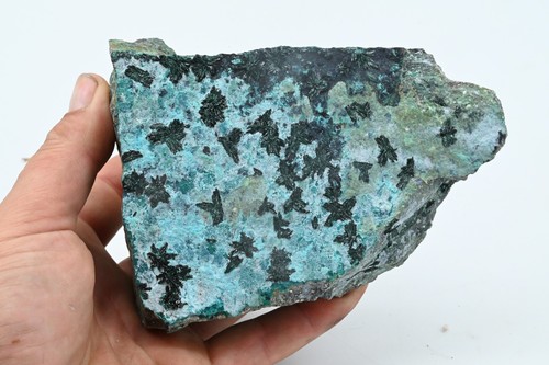 Magnifique atacamite cristaux - atacamite,