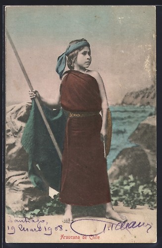 Araucana chile carte - araucana,