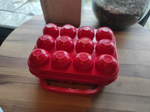 Boite oeufs plastique - oeufs, en