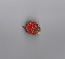 pin's Fédération Française Canoé Kayak Monde (zamac dorée) longueur: 2,5 cm