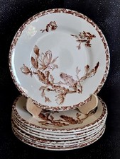 PORCELAINE OPAQUE DE