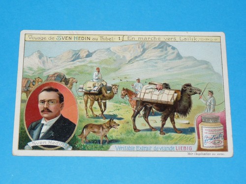 Chromo 1908 liebig serie 947 - liebig,