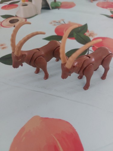 Playmobil animeaux sauvages - playmobil,