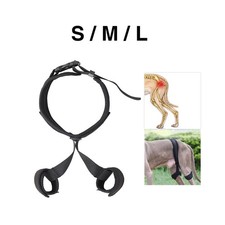 Attelle de hanche de chien