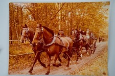 Photo argentique cochers - photo,