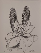  Lithographie "Jacinthes" Bernard Cathelin, L'intelligence des Fleurs - 1988 - 