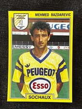 Vignette sticker panini - panini, foot