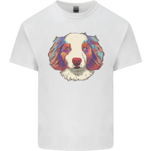 Australien berger chien homme - chien,
