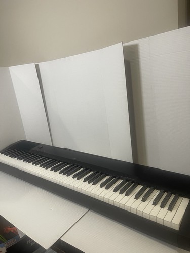 Casio cdp 120 digital piano - cdp-120,
