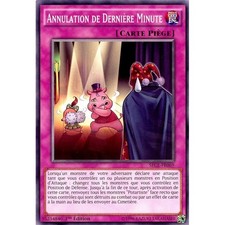 Yu-Gi-Oh TCG SECE-FR069 C