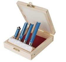 Coffret de 4 fraises à